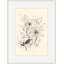 Morning Hellebores 2 Print-1695134793