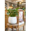 Outdoor Glossy White Fiberstone Pot