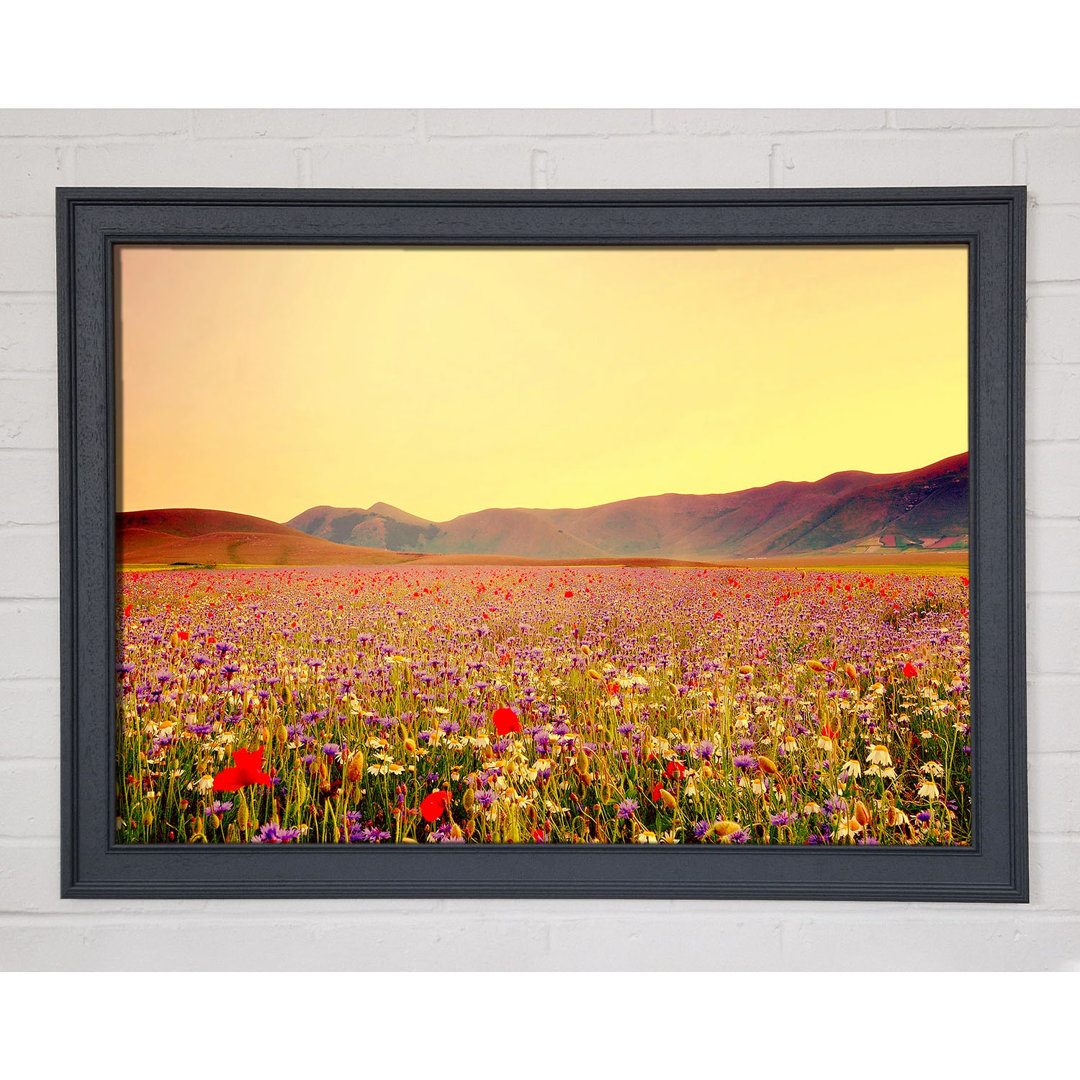 Sunny Field Of Beautiful Wild Flowers - Einzelner Bilderrahmen Kunstdrucke