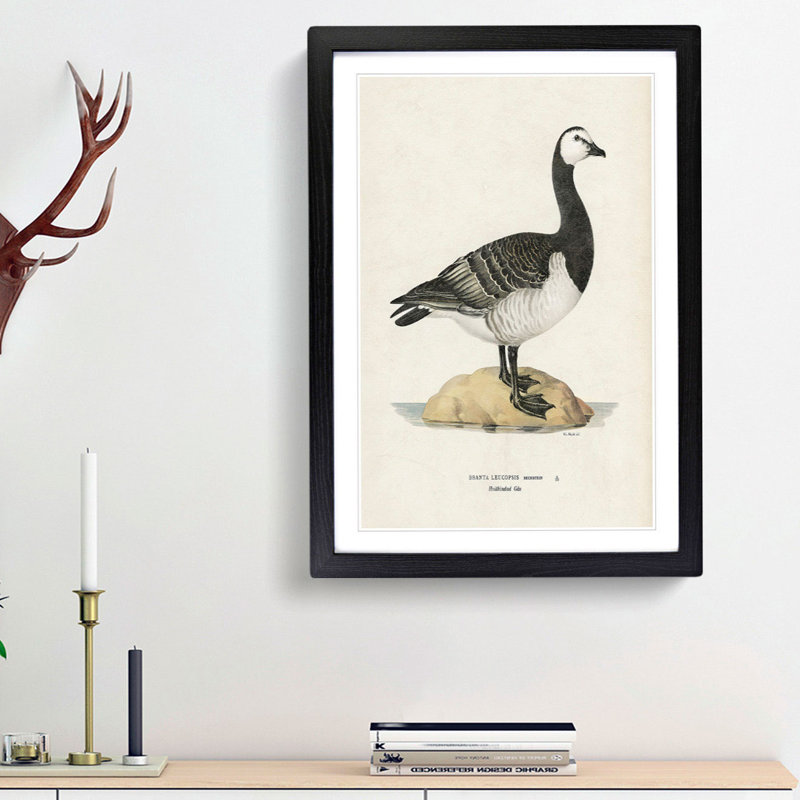 Barnacle Goose by Von Wright - Picture Frame Painting Print, 36cm H x 27cm W x 2cm D, Black Framed