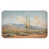 Paysage de cactus rose
