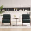 Fauteuil d'appoint Mid-Century-1658918435
