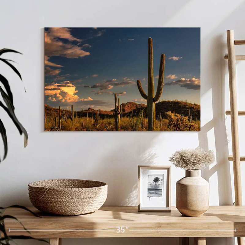 Cactus Harnek Tucson, H 16 po x l 24 po