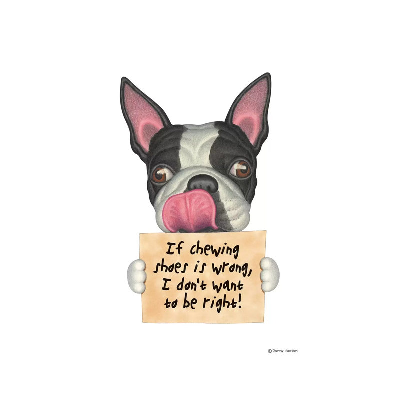 «Boston Terrier I Don't Want to Be Right» par Danny Gordon, impression sur toile tendue, H 12 po x l 8 po x P 0,75 po