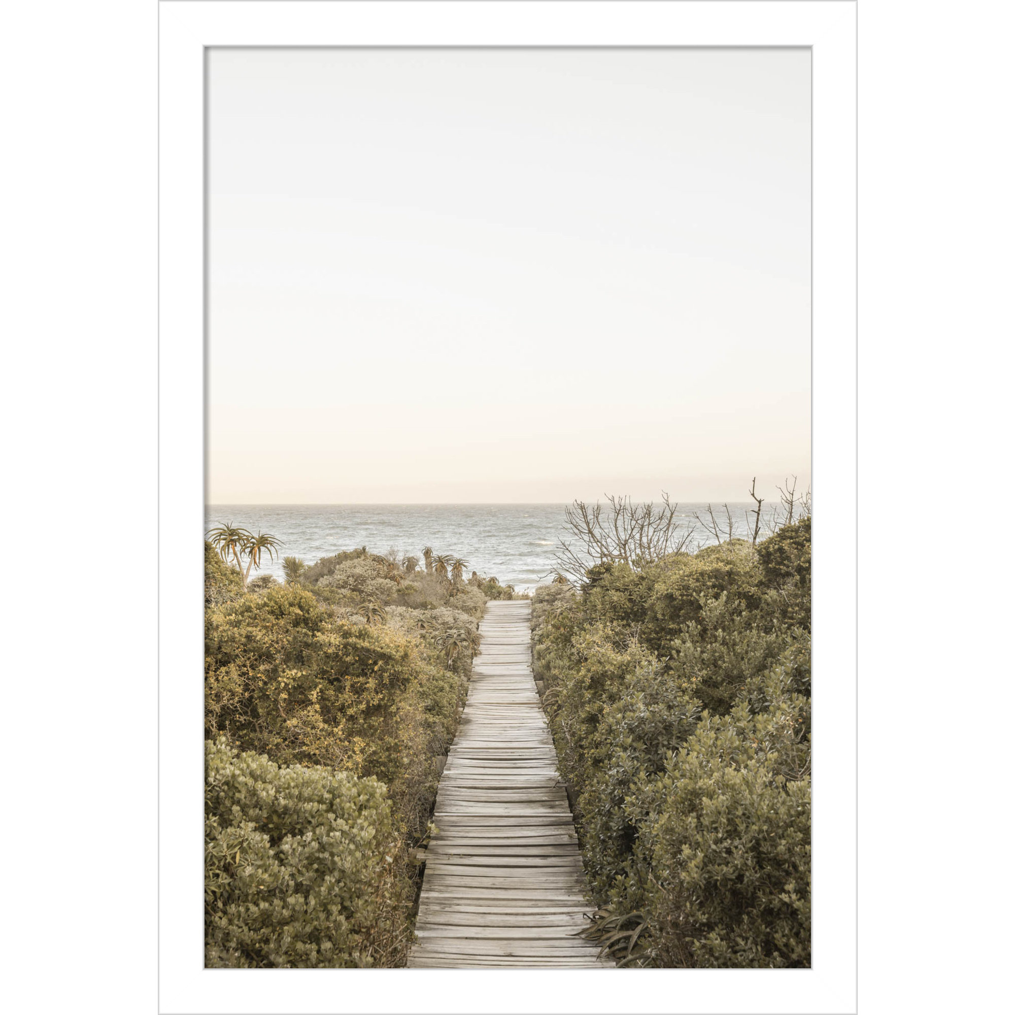 Boardwalk by Shot by Clint Wood Framed Wall Art Print, 17" H x 12" W, White