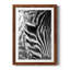 Zebra Colt - Photographie avec cadre photo-1635737524-1635737523