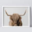"Portrait de vache Shetland brune et blanche à deux tons" sur papier-98265843-98265844