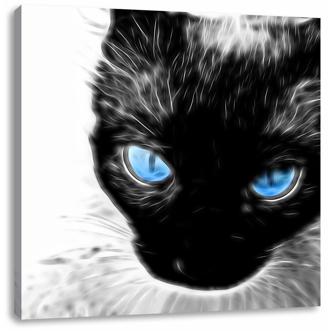 Leinwandbild Blaue Augen schwarze Katze new Art