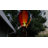 23.5'' Integrated LED Outdoor Hanging Light-125787233