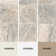 Travertine Crosscut™ 18" x 18" Field Tile in Silver