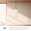 Minneapolis Single Light Glass Pendant-1154284003-1154284004-1154284007