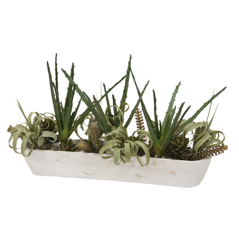 Plante grasse artificielle 18 po en pot