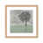 Framed Matted Print