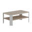 Ferghus Four Leg Coffee Table with Storage-2143947358