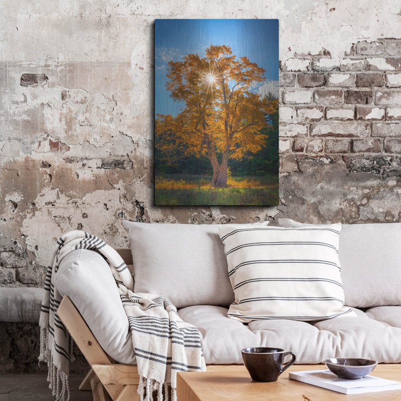 «Maple Tree In Full Autumn Glory» par Rick Berk, mur en métal, H 36 po x l 24 po
