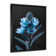 «Lupin Winters Peace» par Lupin - bleu-1239460180-1239460207