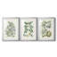 Buchoz Tropicals VI - Impression sur mesure encadrée de qualité supérieure - 3 pièces-486121883-486121877