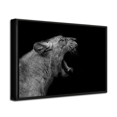 " 'Lioness In Low Key' Wrapped Canvas Wall Art By Nauzet Baez "