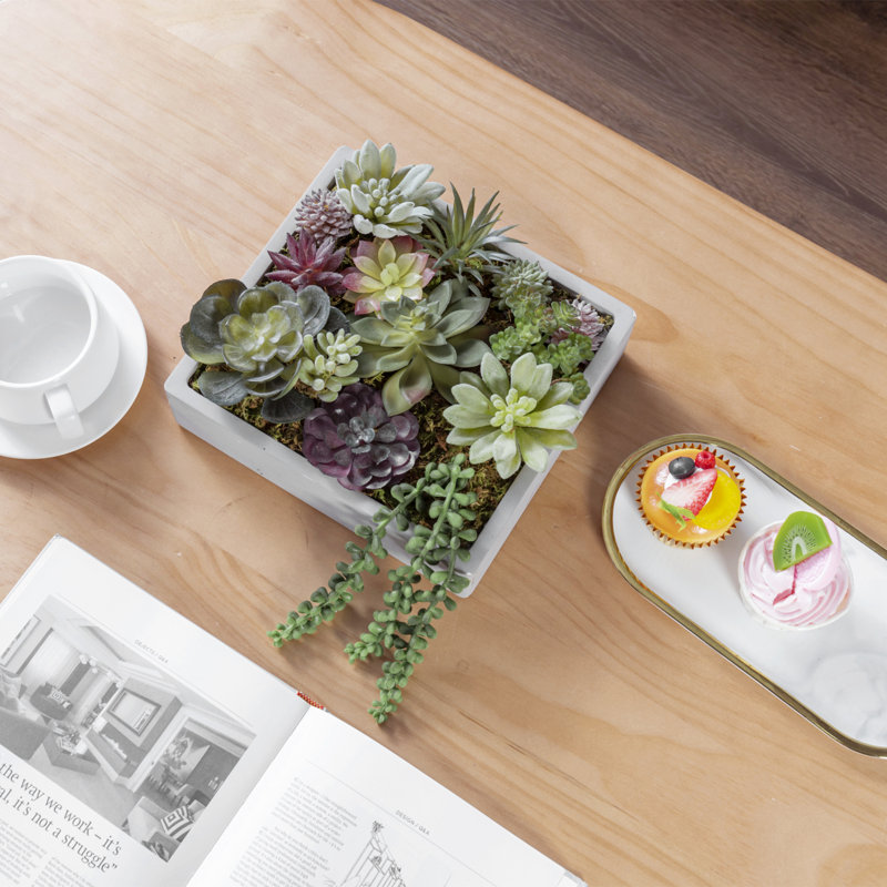 Plantes succulentes artificielles dans une usine de béton