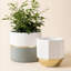 Pot à fleurs en céramique 2 pièces Chanko-997346478
