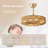 20 inch Boho Ceiling Fan with Light, 6 Speeds, Remote Control, Timer Function, Bladeless Design, Gold