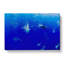 Oahu Sharks In Abstract - Wrapped Canvas-55310639