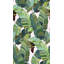 Banana Palm Dream-768058939-768058938