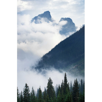" Mountain Fog "
