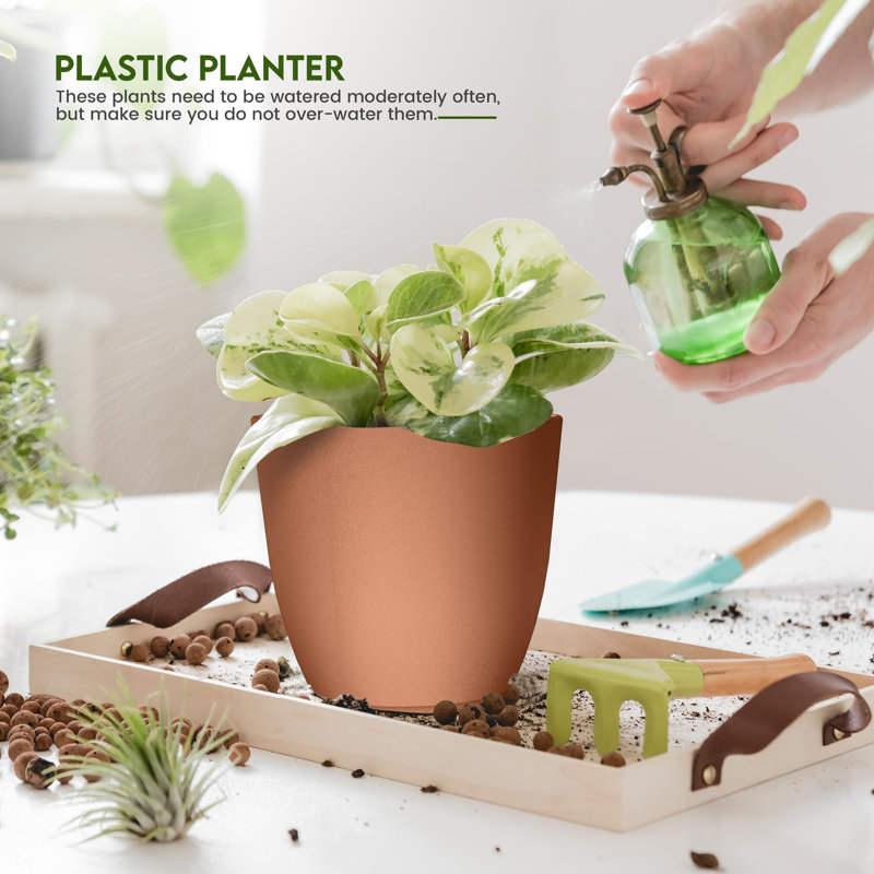 Pots de fleurs d'intérieur avec drainage, ensemble de 5 pots de différentes tailles, en terre cuite, Terra Cotta