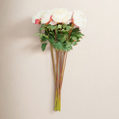 Dahlia Floral Stems