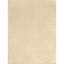 Damask Area Rug in Salt/Ivory-349373829