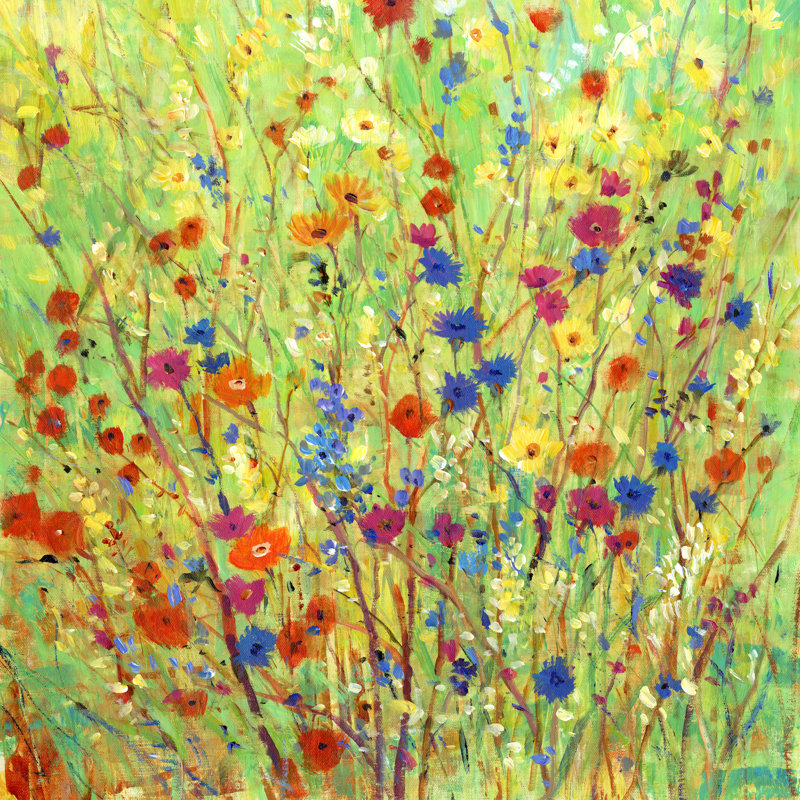 Wildflower Patch II by Timothy O' Toole - Wrapped Canvas Painting, 91cm H x 91cm W x 3.8cm D