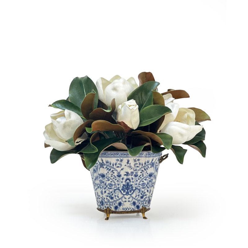 MAGNOLIA IN PLANTER