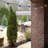 Indoor / Outdoor 25 - Bulb 300 in. Plug-in LED Globe String Light