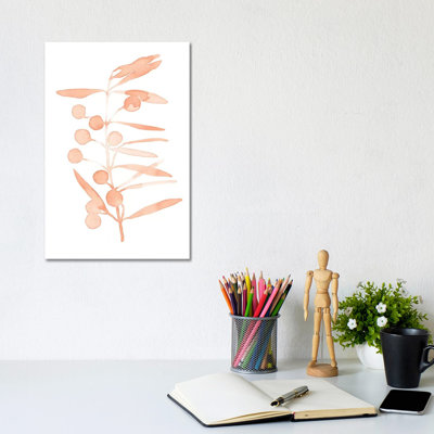 Blush Olive Branch II by Emma Scarvey - Wrapped Canvas Painting