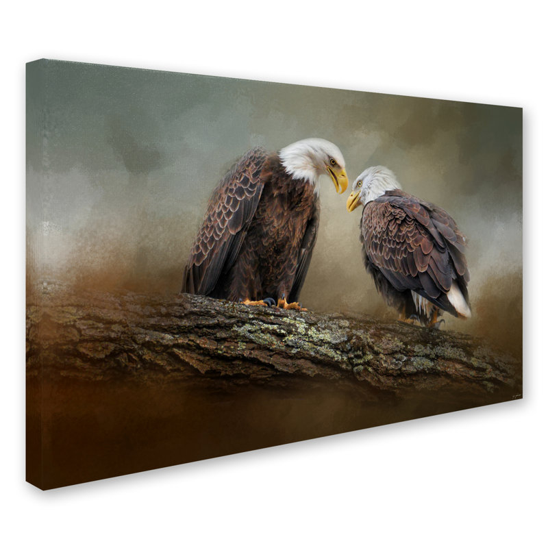 «Vidur« Quiet Conversation Bald Eagles », reproduction d'impression sur toile tendue, H 12 po x l 19 po