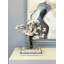 Arrangement de magnolia moderne avec papillon