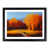 Black Framed selected