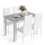 4 - Person Dining Set-515117530