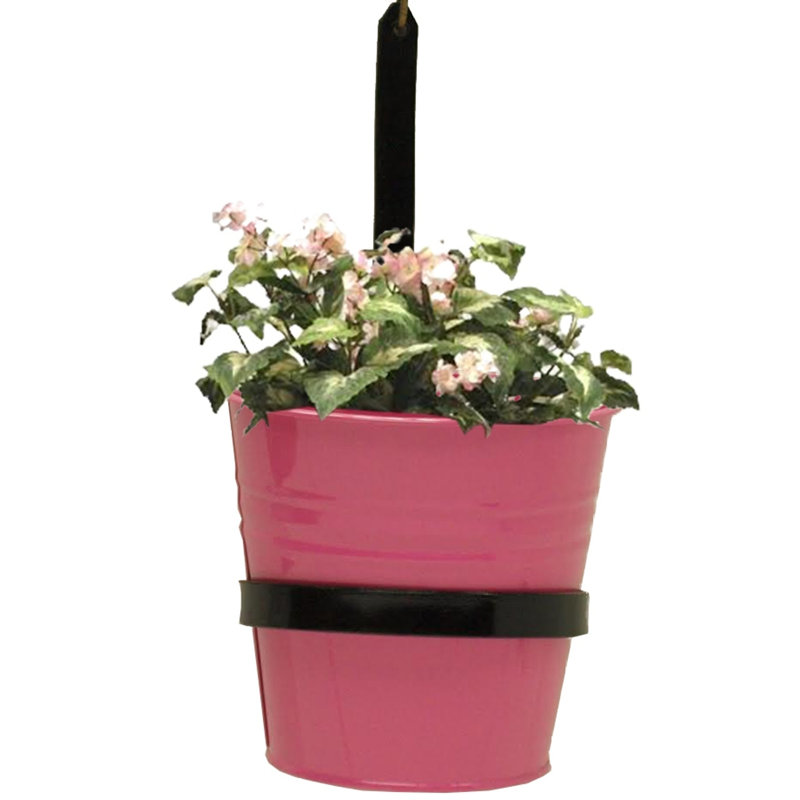 Serra Enameled Galvanized Steel Planter with iron holder Set of Two, HotPink