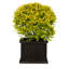 Boîte à fleurs en bois Barros-714229204