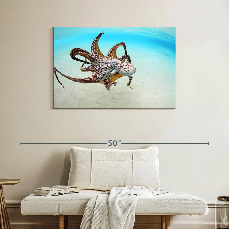 Brampt Wild Ocean Octopus, 26" H x 39" W