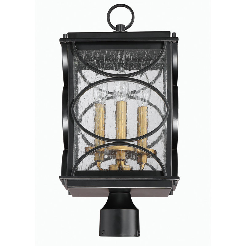 Gold Seeded Lantern Head