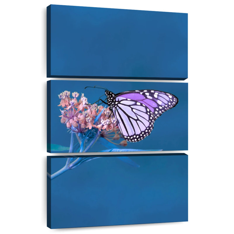 Papillon monarque Brampt mauve