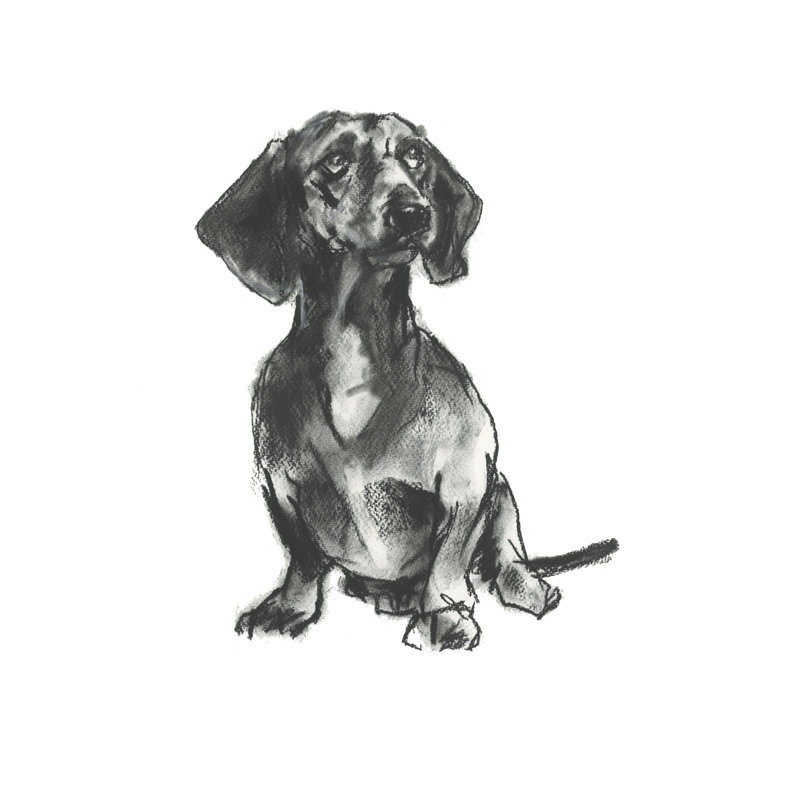 Tangina Doggy Expressions IV by Cartissi - Wrapped Canvas Print, 46 cm H x 30 cm W