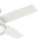 Dempsey Low Profile 44" 4 - Blade Indoor Flush Mount Small Room Ceiling Fan with Lights and Remote