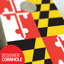 Ensemble de cornhole 2 'x 3' pour porte de drapeau du Maryland