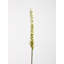 Fabric Yucca Arrangement