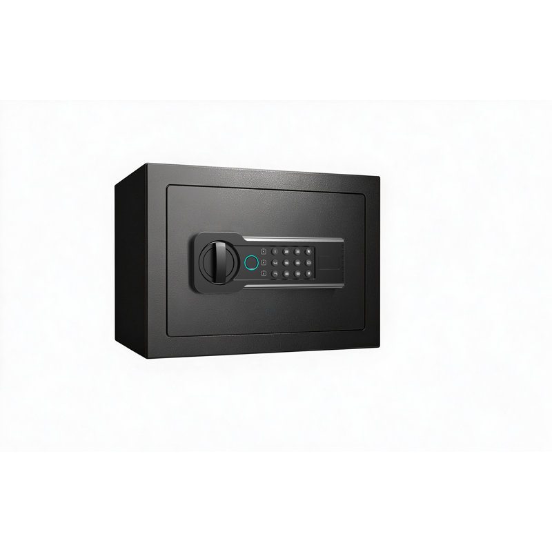0.8 Cu.Ft. Security Safe with Fingerprint & Digital Keypad Lock, Valuables Storage Safe
