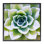 «Green Succulent Nature Close up» par Irena Orlov - photographie à cadre flottant sur bois